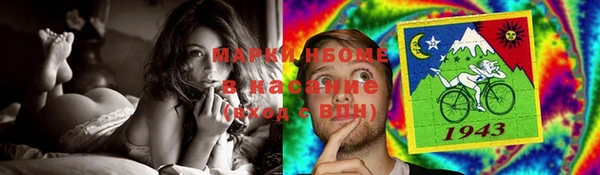 индика Верея