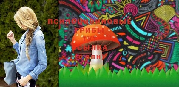 шишки Остров