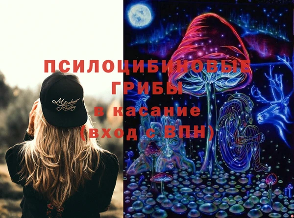 шишки Остров