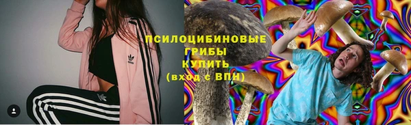 мяу мяу мука Осинники