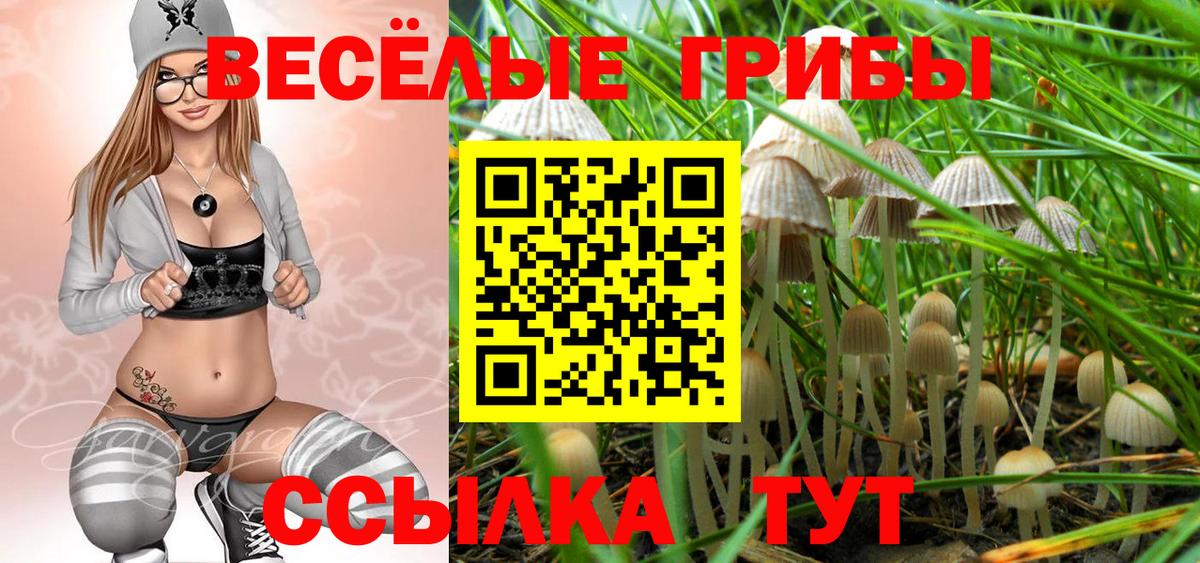 Псилоцибиновые грибы GOLDEN TEACHER Ивантеевка