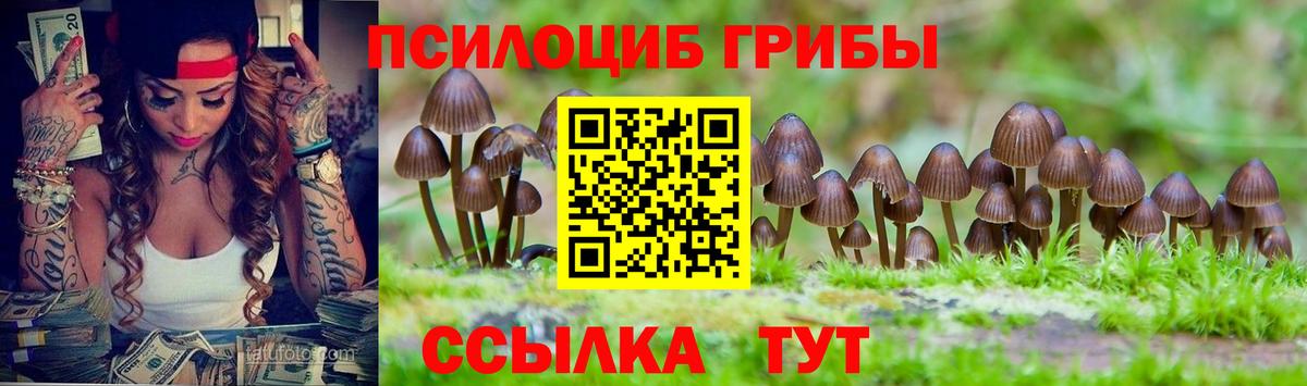 цены наркотик  Вход с VPN  Ивантеевка  Галлюциногенные грибы GOLDEN TEACHER 